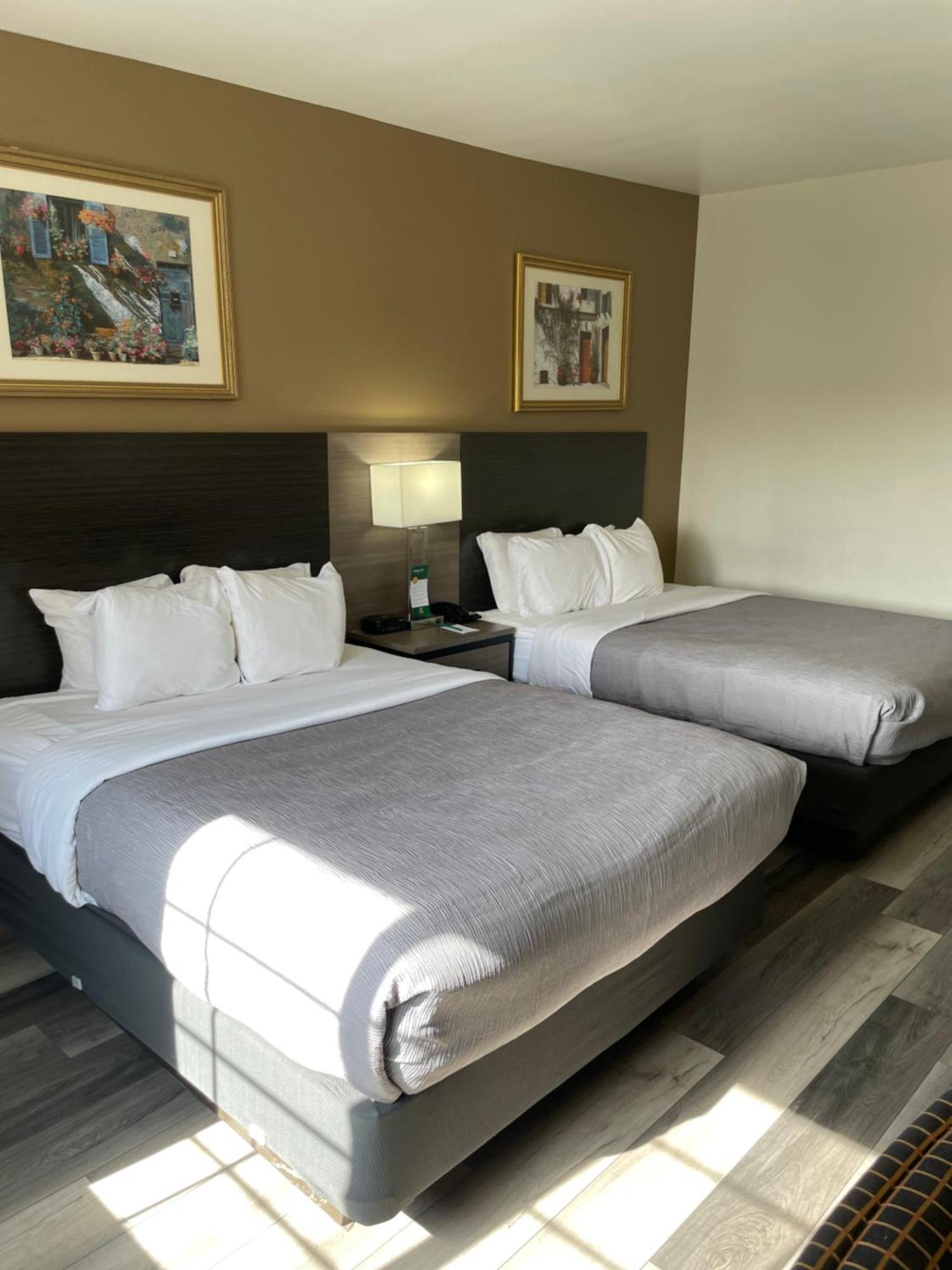 Quality Inn & Suites Goodyear - Phoenix West Eksteriør billede